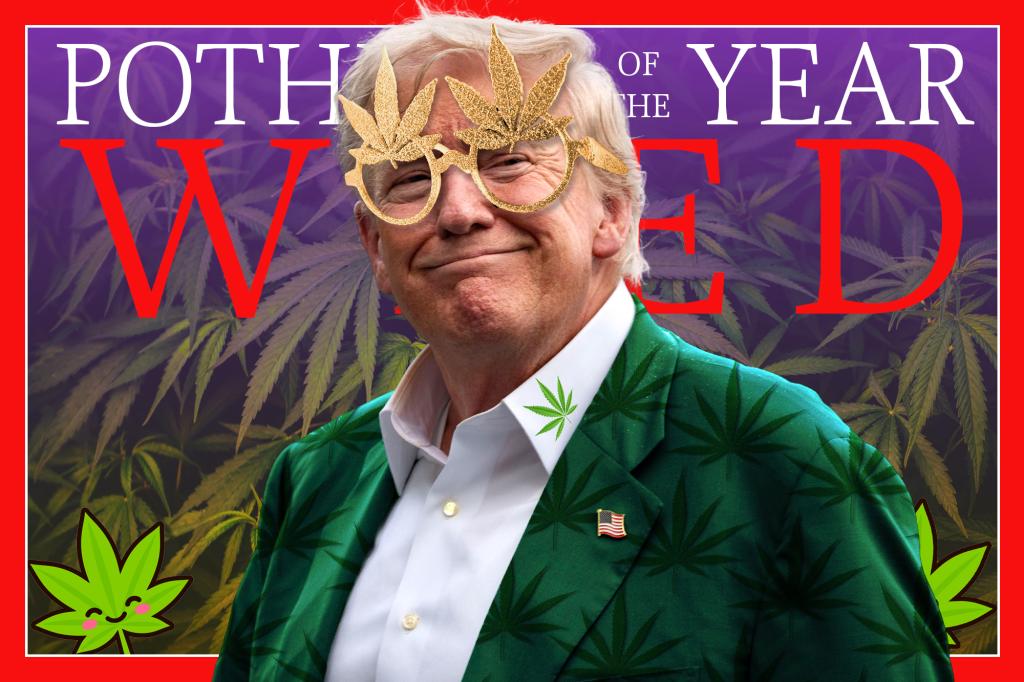 Trump signs executive order to reclassify marijuana as Schedule III