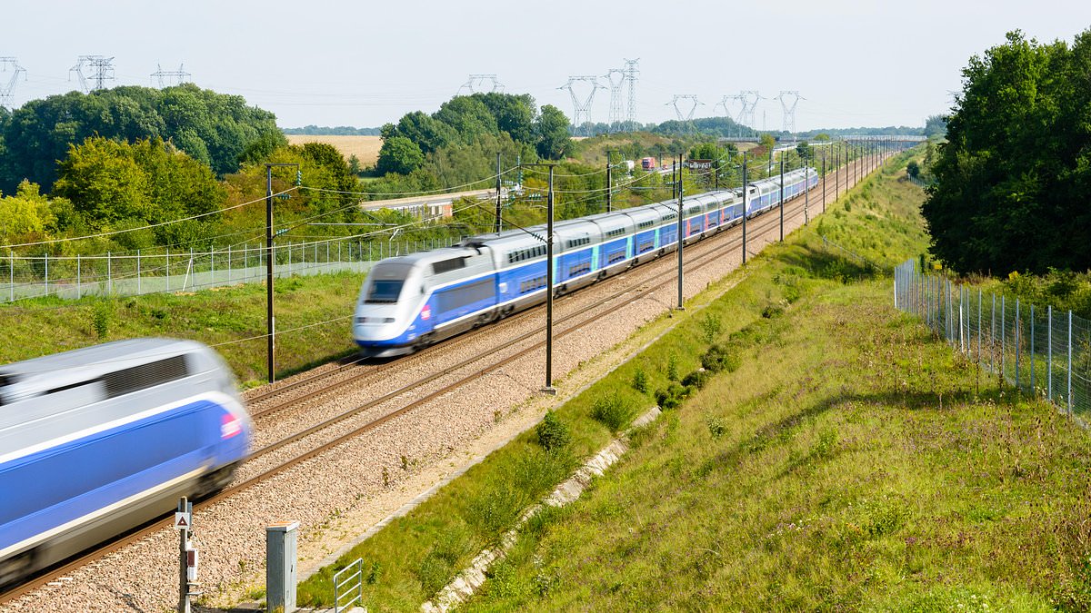 Trainline upgrades guidance and expands buyback as French rail liberalisation lifts ticket sales