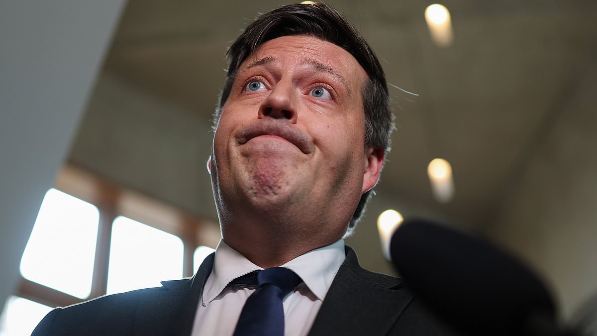 SNP minister resigns after seagull clash: Hepburn quits amid assault claims