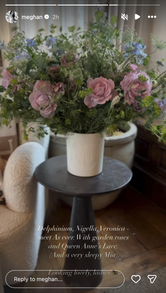 Meghan Markle's additional interior glimpse