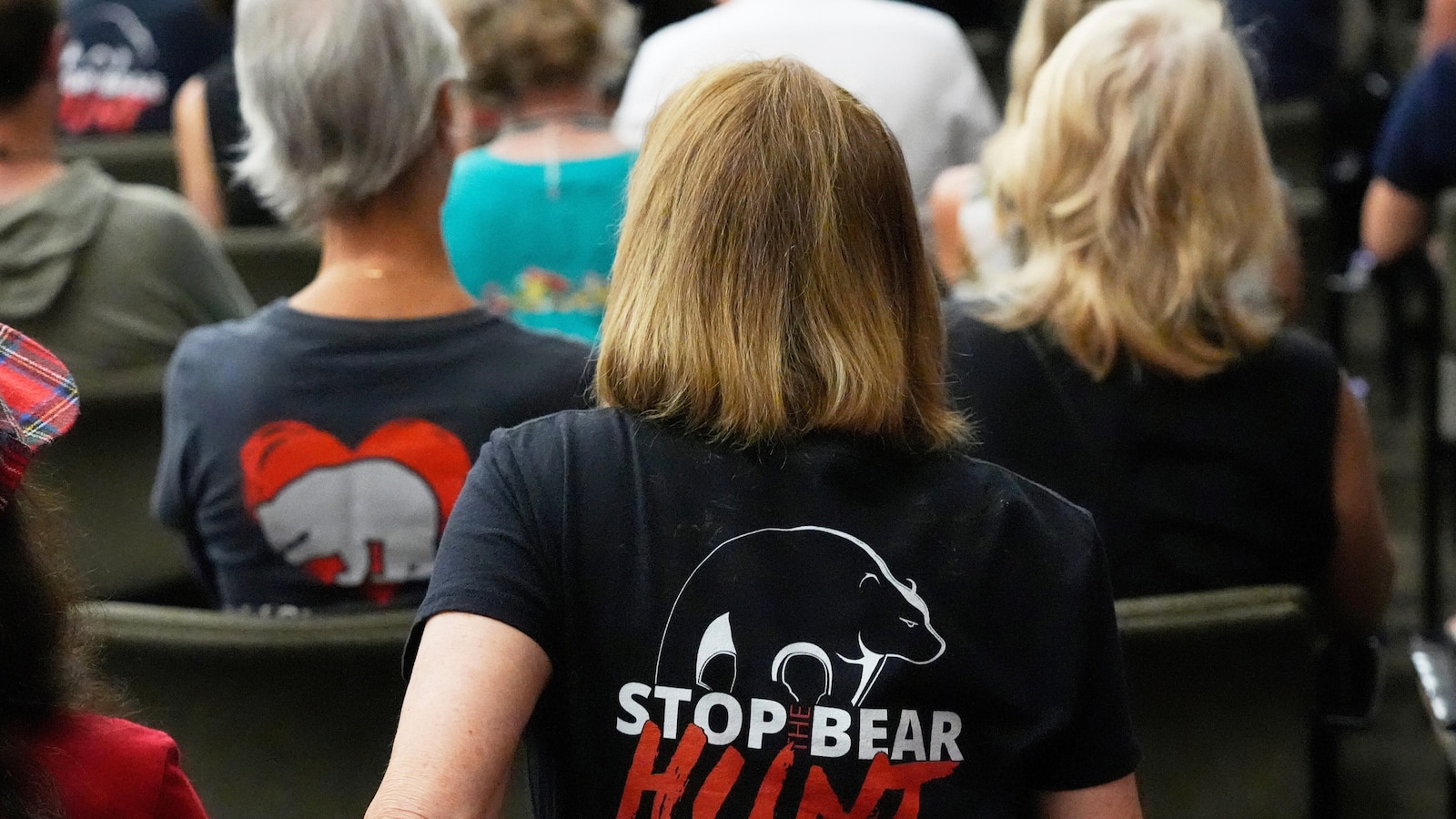 Florida bears hunt draws record applicant pool as permit lottery set for December