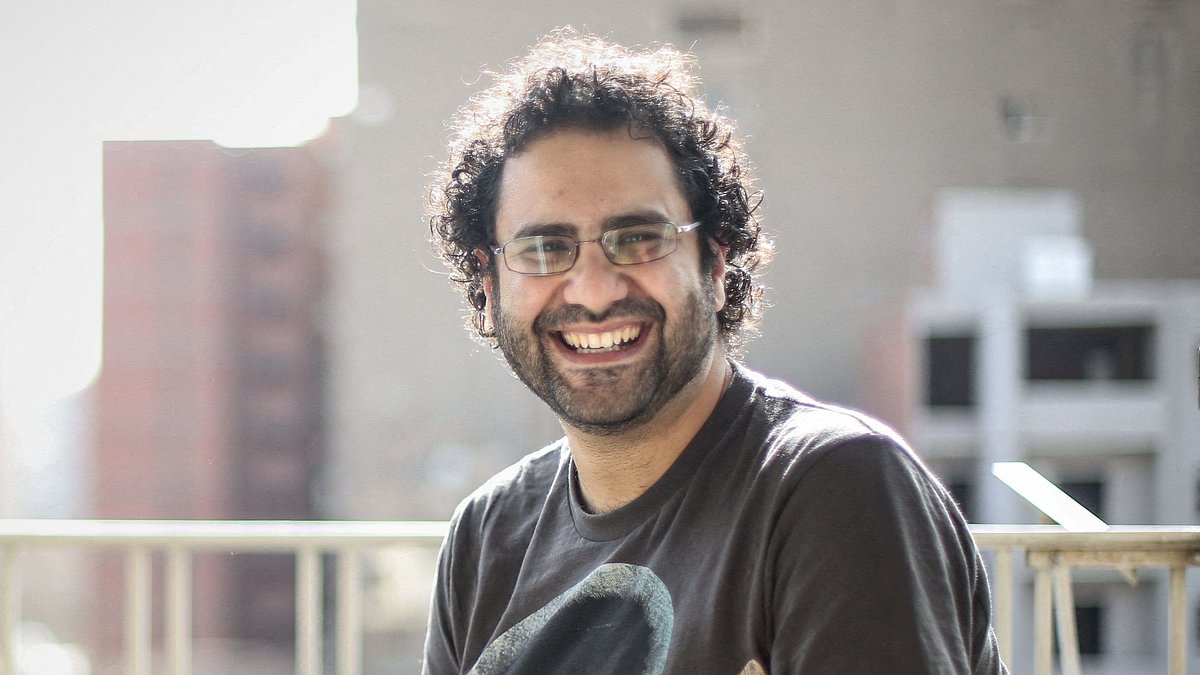 Egypt pardons activist Alaa Abd el-Fattah after six years in prison