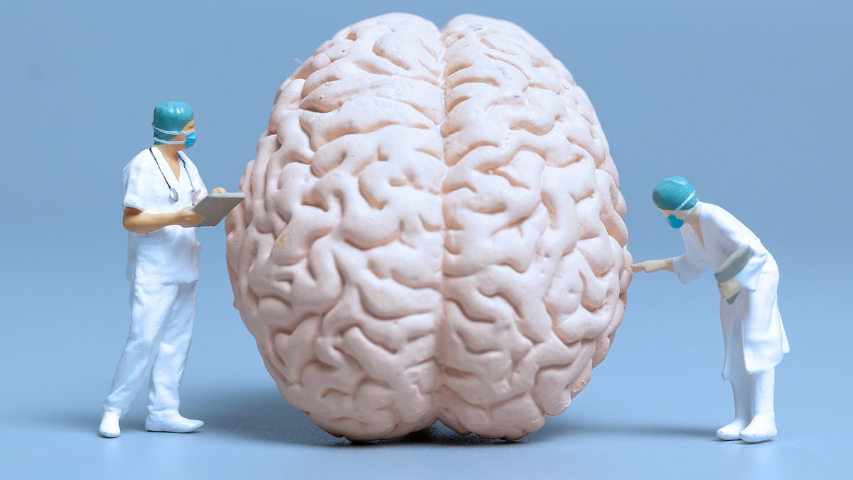 First biological test for aphantasia uses pupil response, UNSW researchers say