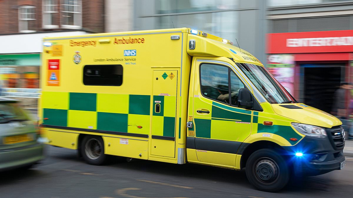 Stroke charity warns patients should not self-transport to hospital despite ambulance delays