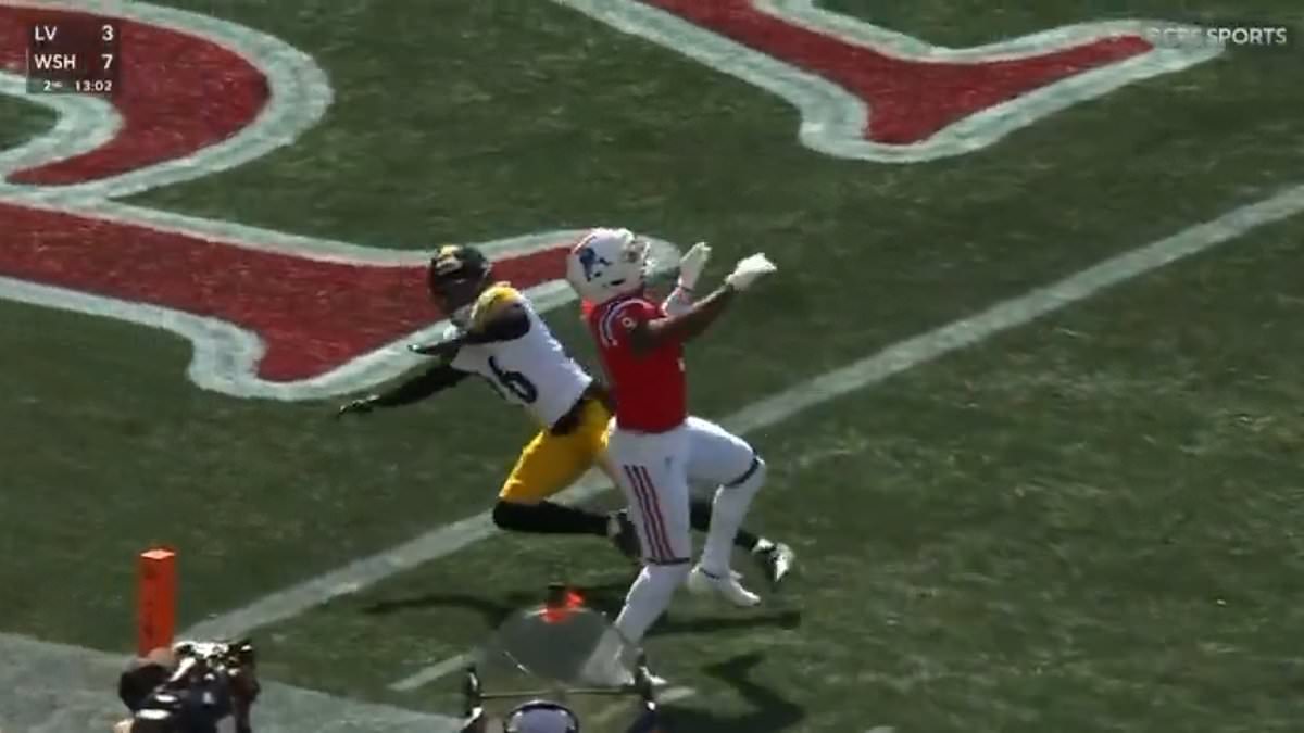 NFL commentator's raunchy on-air quip goes viral during Steelers' win over Patriots