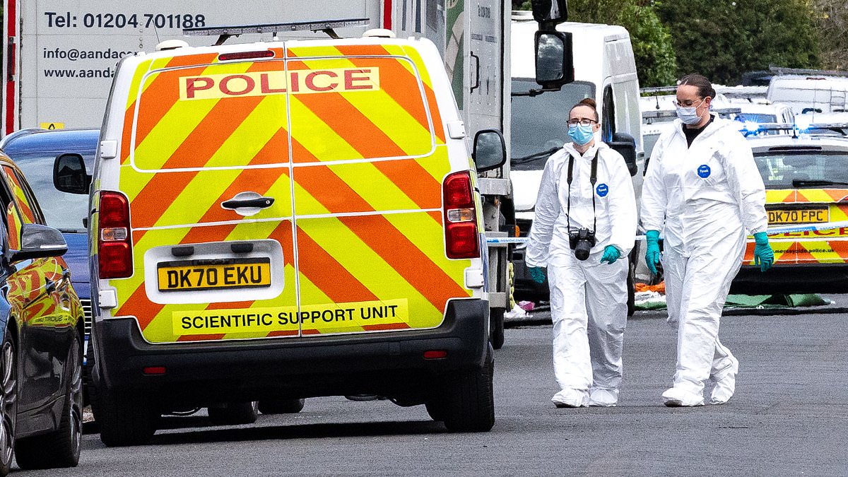 Southport knife rampage inquiry hears officer entered with baton after bystander warning 'You need a gun'