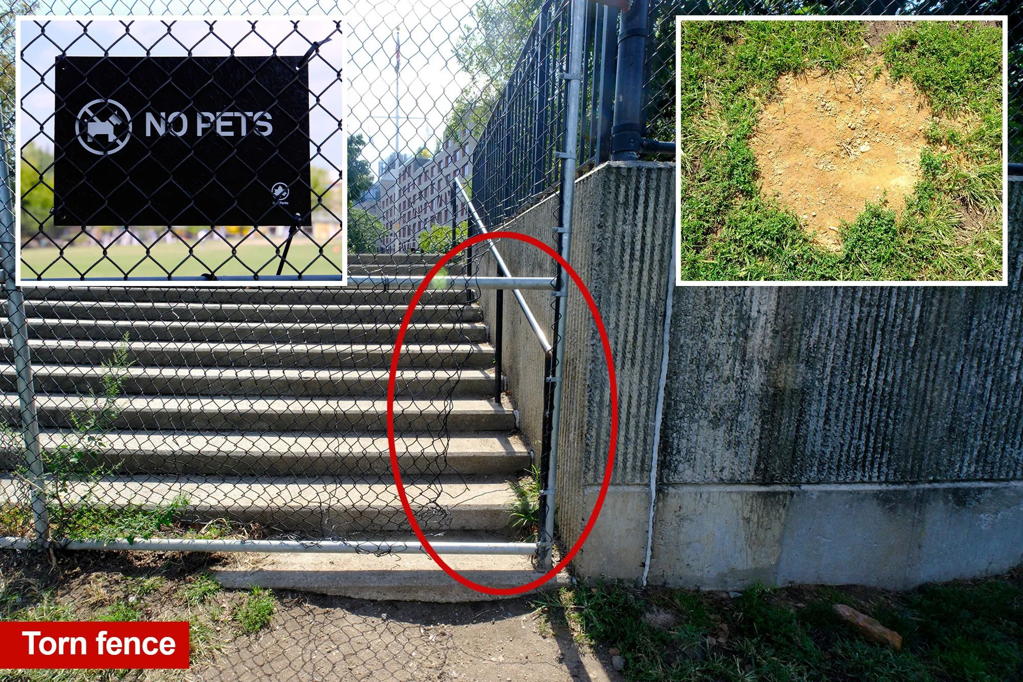 Coaches and parents confront off-leash dog owners at Brooklyn ballfield over damaged turf