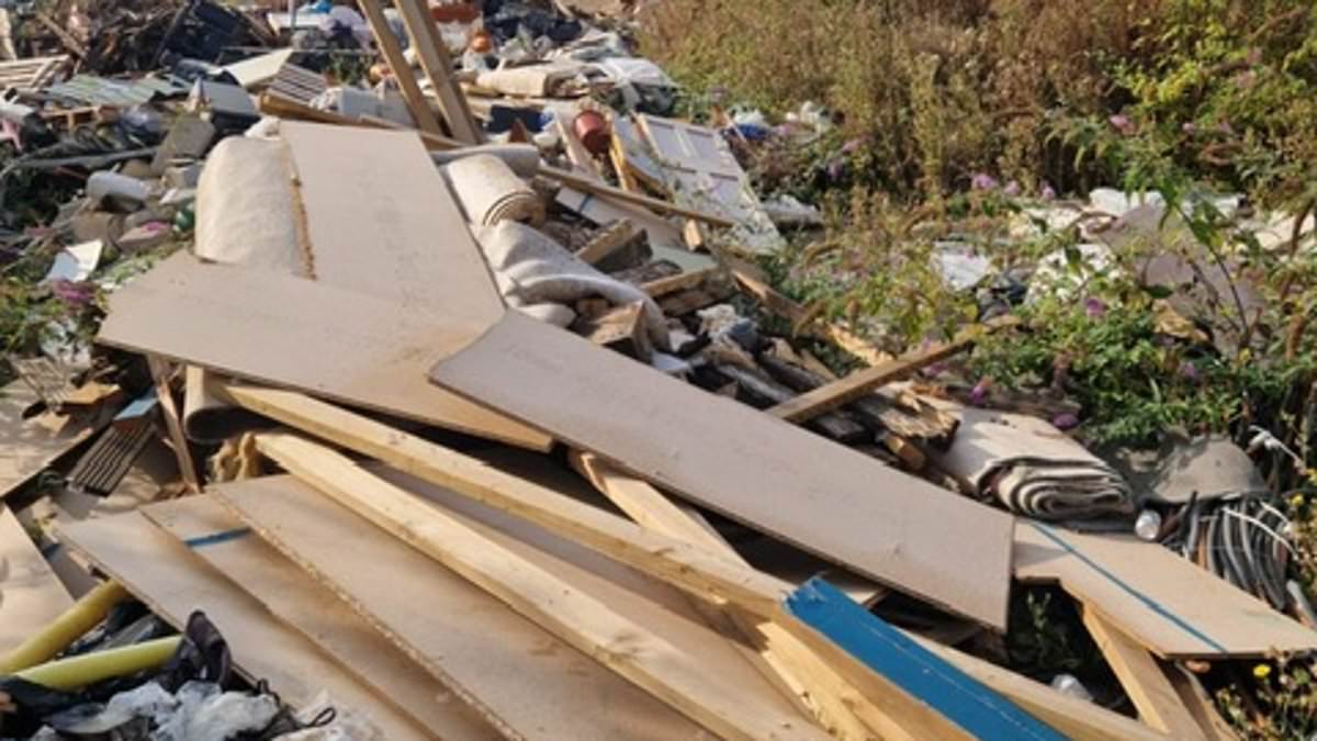 Organised fly-tipping deposits 320 tonnes of waste in Camden despite police calls