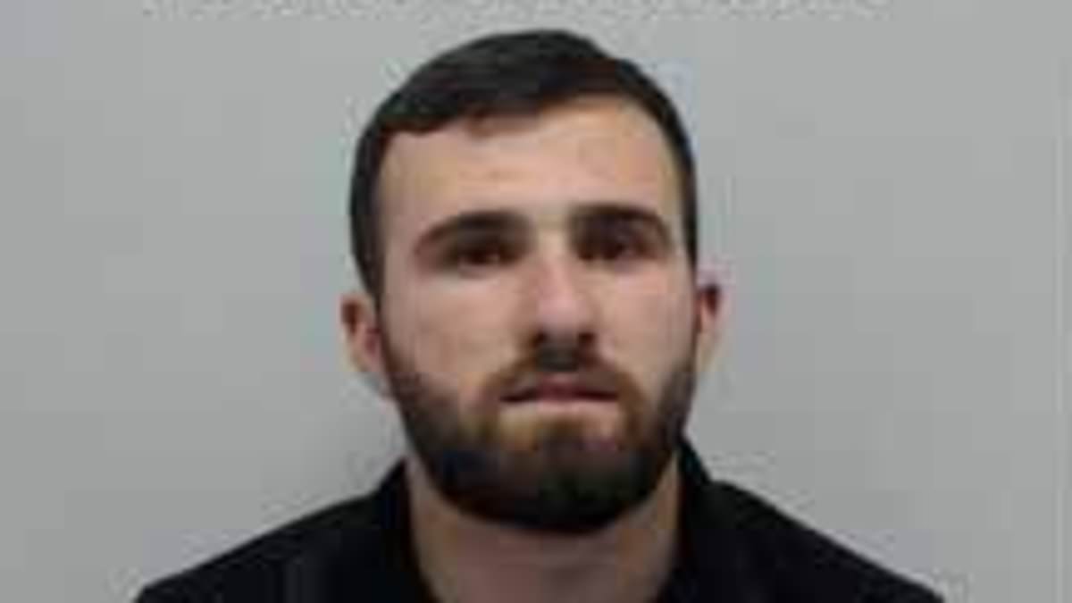 Upper Tribunal orders deportation of Albanian convicted in Manchester cannabis farm after overturning judge's ruling