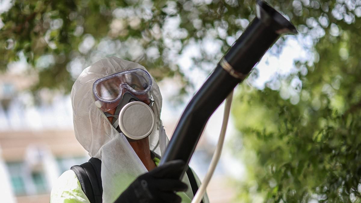 Chikungunya detected in United States as New York investigates possible locally acquired case