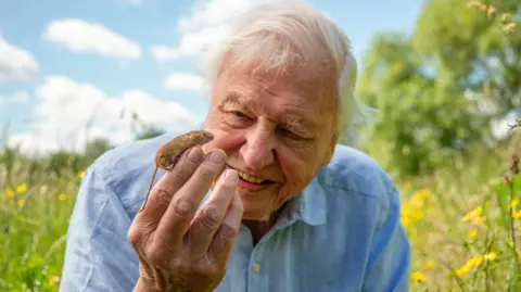 David Attenborough finds London's wildlife as home in Wild London documentary