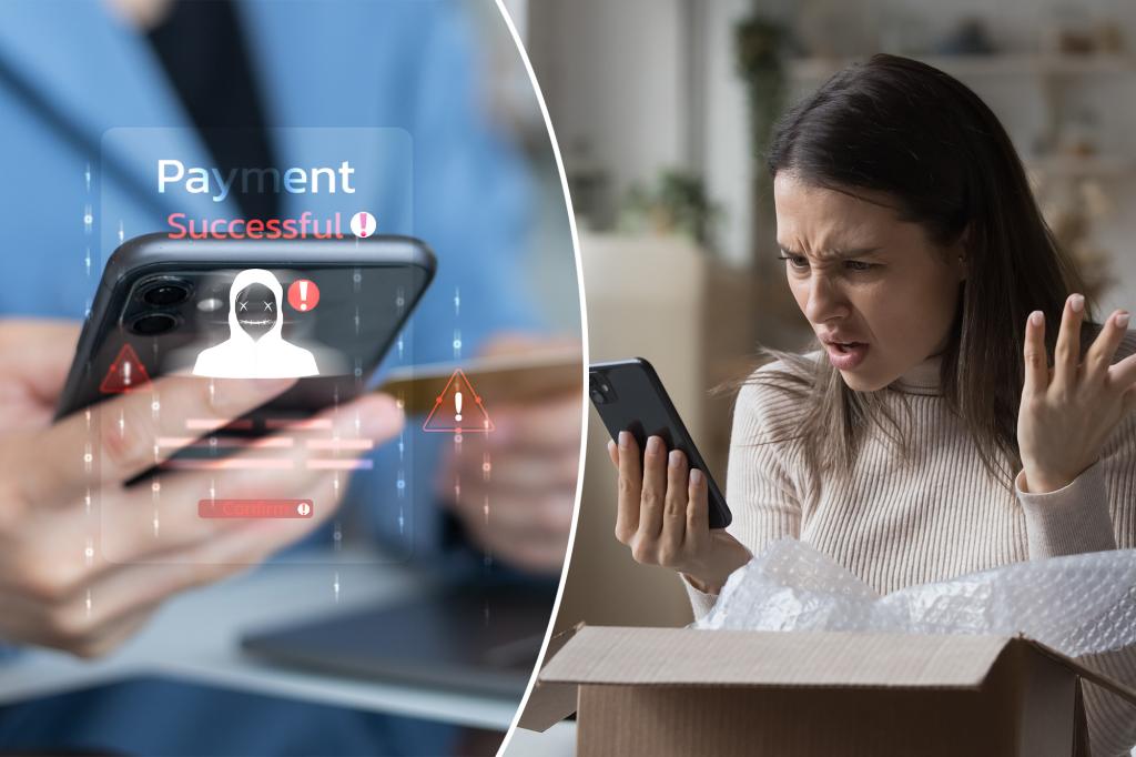 Holiday scams surge as shoppers face near-billion-dollar losses, IC3 reports