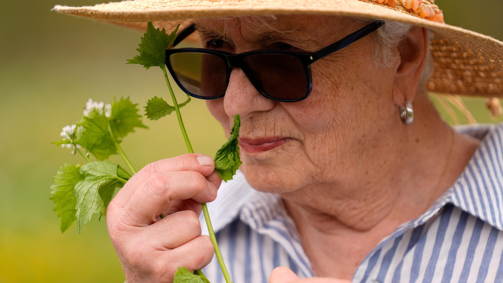 Foraging revival grows as wild-food enthusiasts reconnect with nature