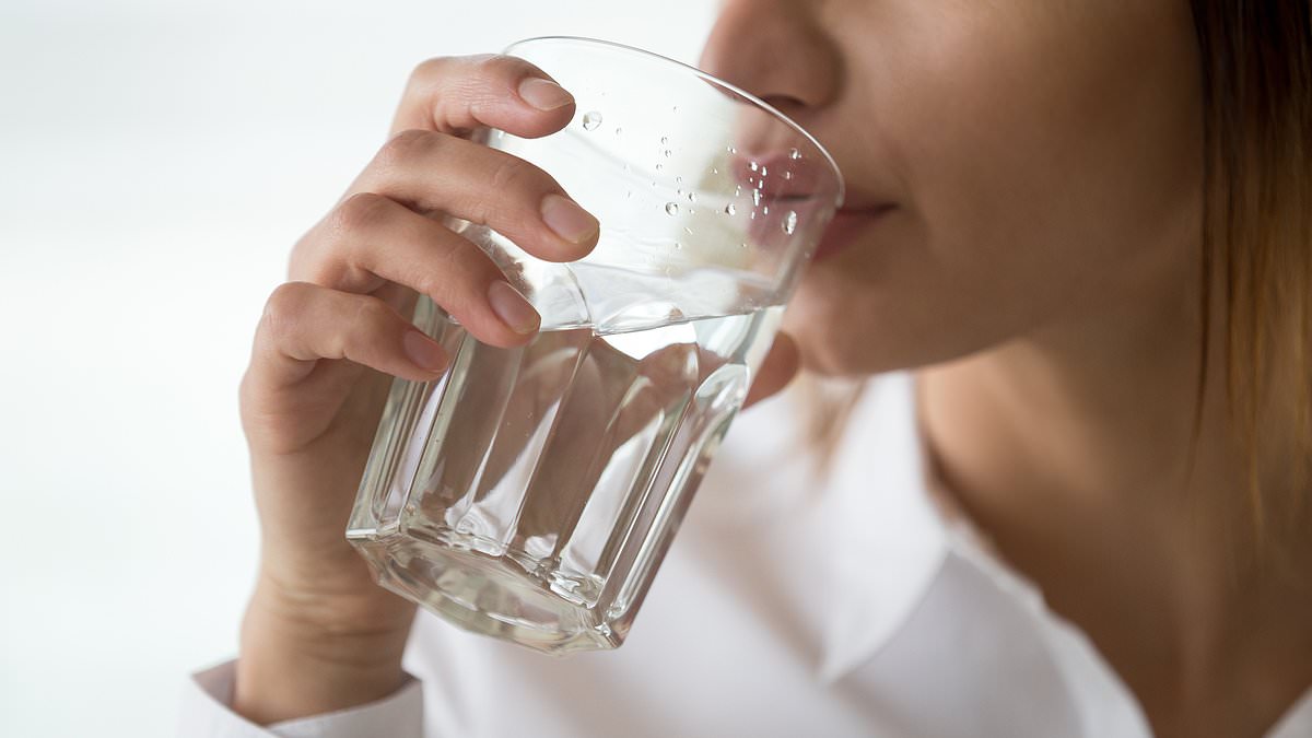 Sydney water bills set to soar as migration drives demand, regulator says