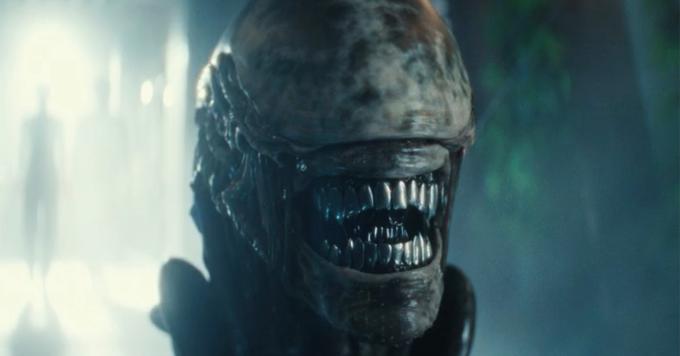 Alien: Earth ends season 1 with Wendy and hybrids seizing Neverland