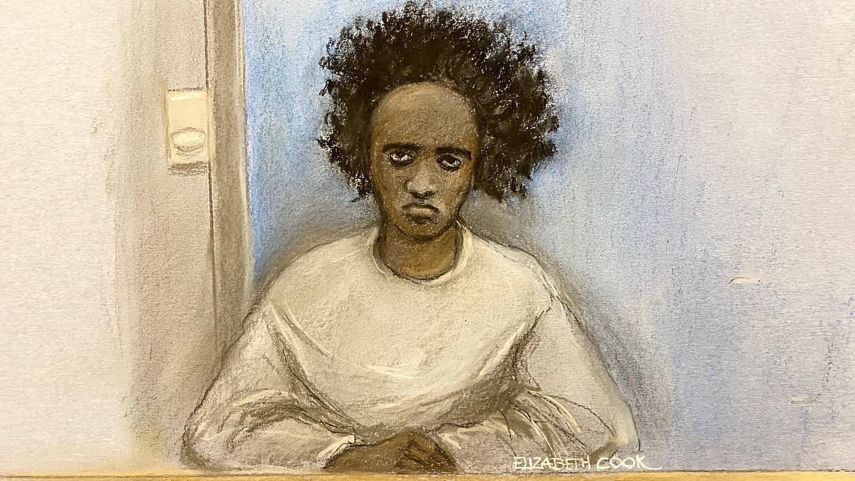 Brother of Southport killer asks if officials could have stopped knife rampage