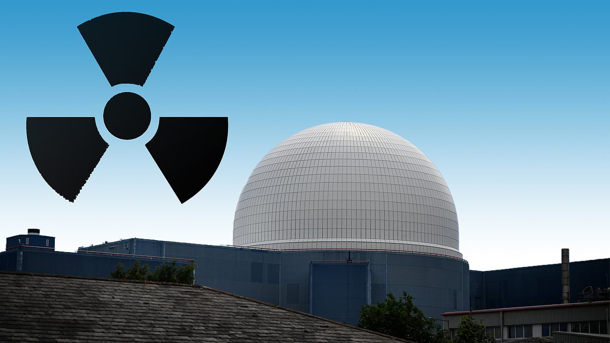 Investors Bet on a ‘Golden Age’ of Nuclear as Big Names Move In