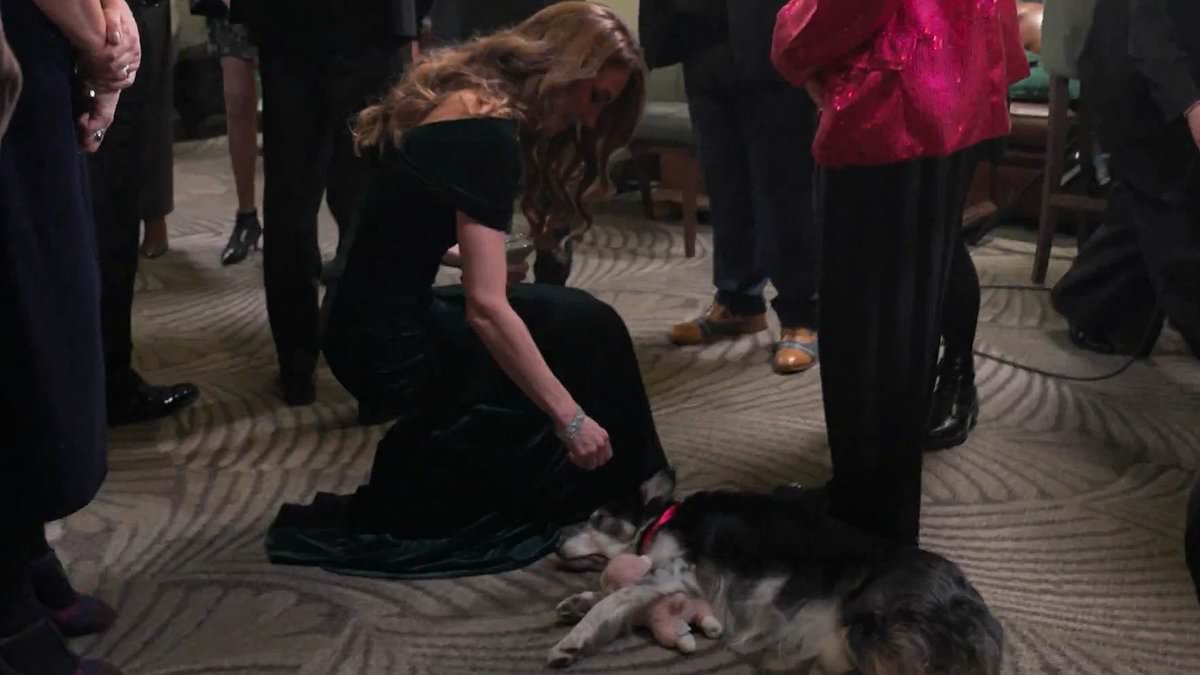 Kate Middleton returns to public life at Royal Variety Performance, charmed by dog encounter