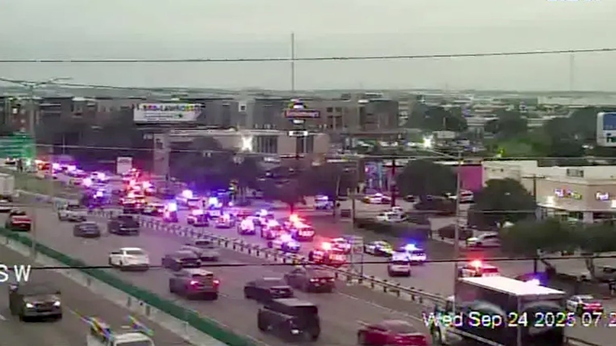 From words to bloodshed: Democrats blasted for rhetoric after deadly ICE shooting