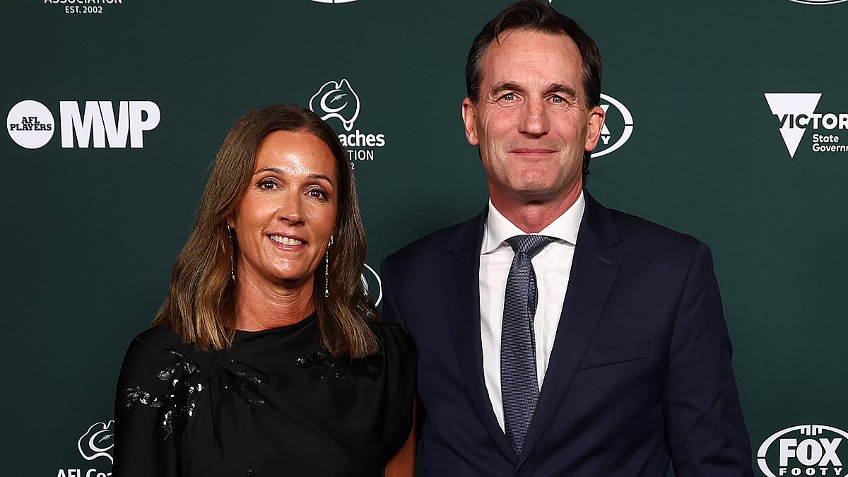 Tasmanian AFL stadium recommendation rejected in damning planning report, putting 2028 expansion at risk