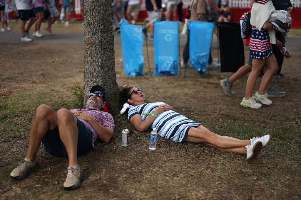 nap-tree-saturday-afternoon