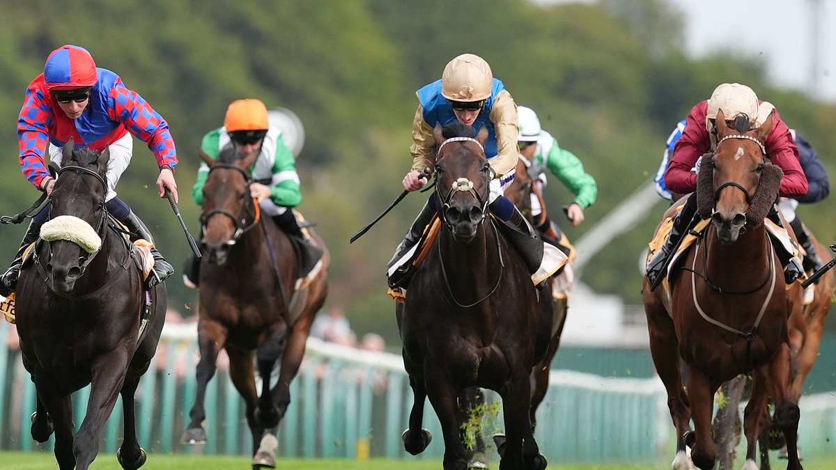 British horse racing stages first voluntary blackout in protest over proposed betting tax rise