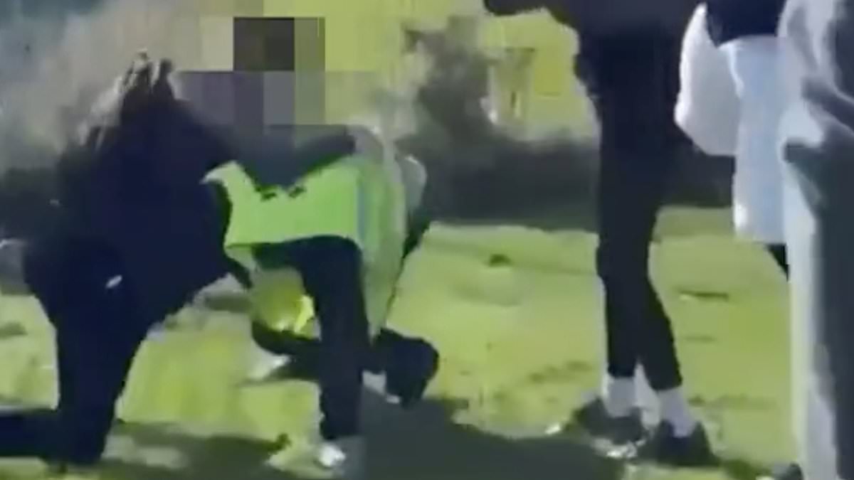 Video shows 15-year-old pupil assaulting teacher in school playground; police investigate