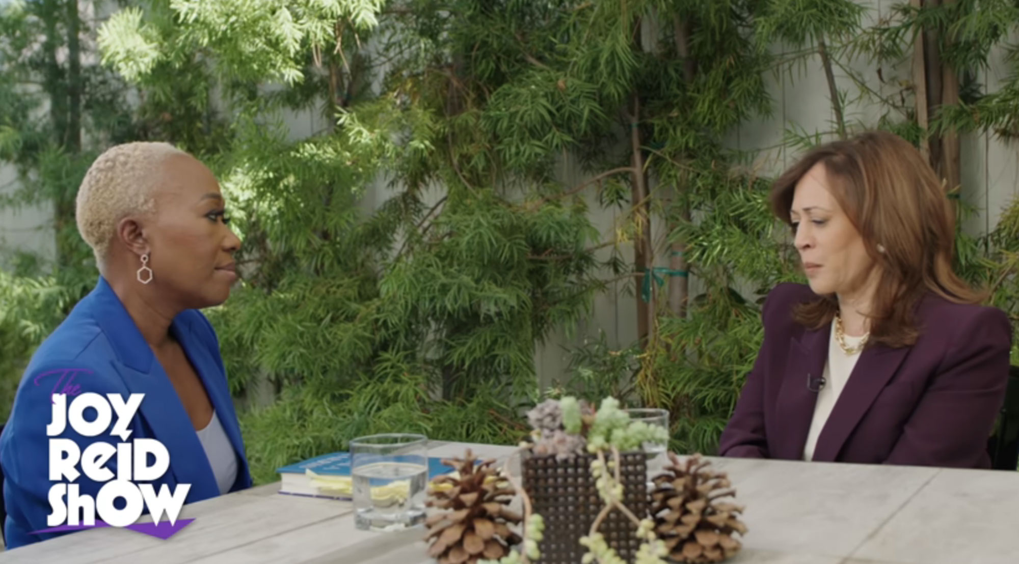 Joy Reid senses sadness and alarm in Kamala Harris during interview about new book