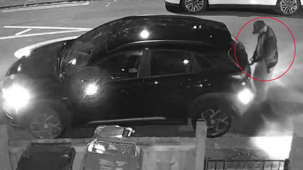 London gang jailed for stealing 73 cars using key-emulator devices