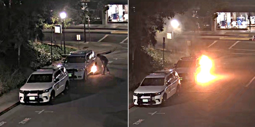 California arsonist tied to pro-Hamas motive sentenced to about 19 years in prison