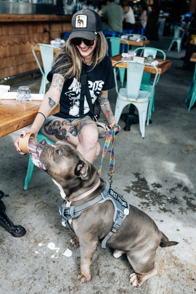 Gizmo eating puppuccino