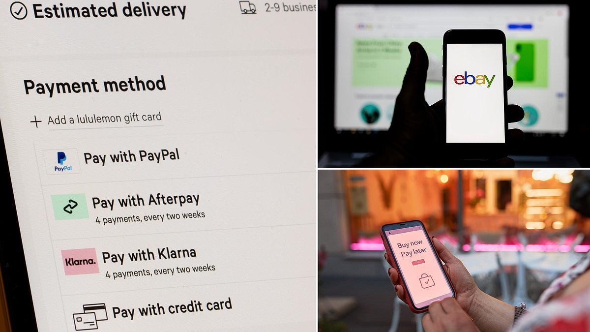 Which? raises concerns as Ebay promotes Klarna BNPL discounts