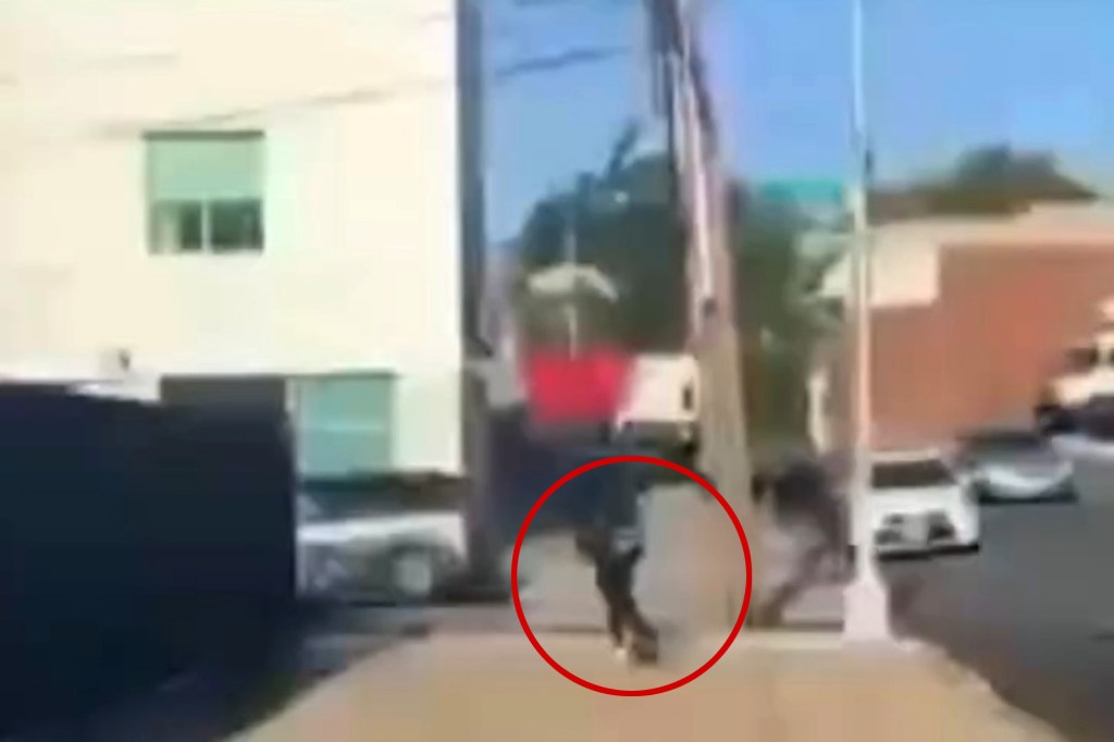 Queens teen held without bail in Dunkin’ Donuts shooting that killed 13-year-old boy