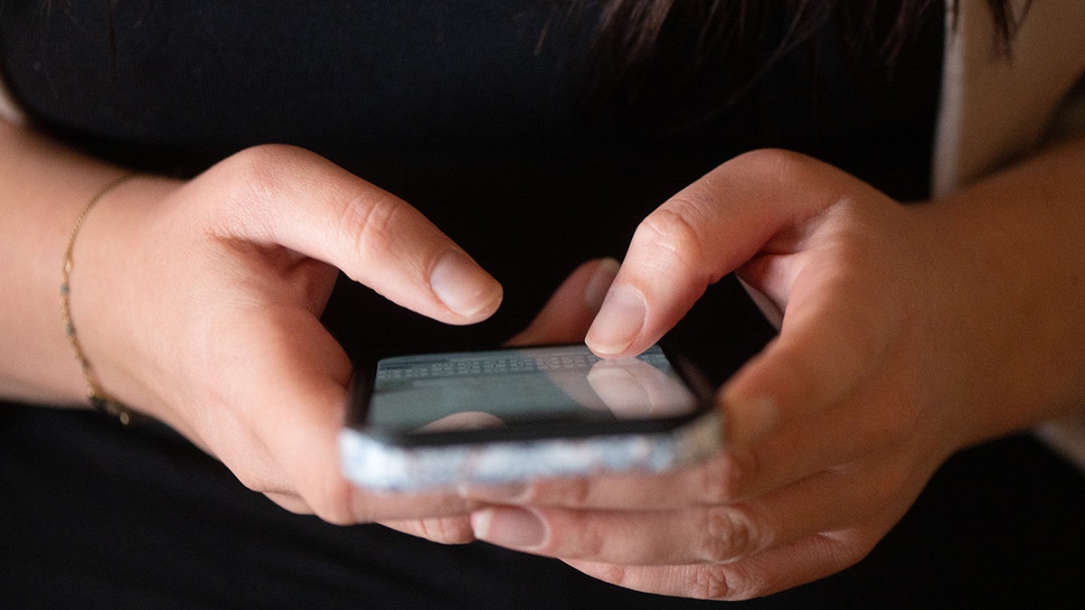 Holiday hacking image