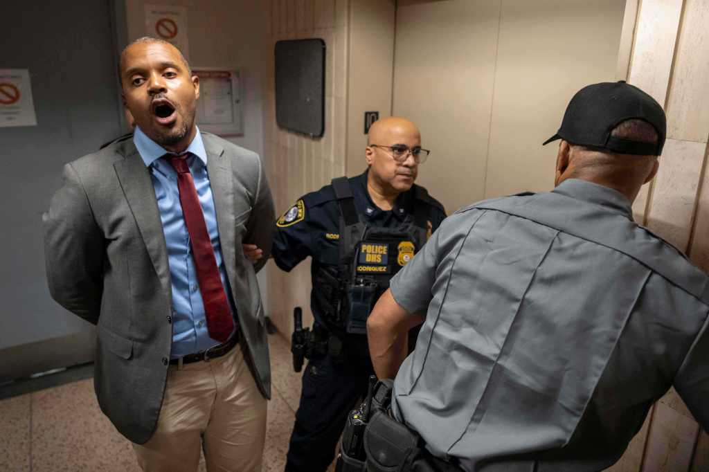 State Senator Jabari Brisport detained