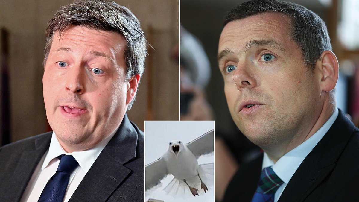 Gullgate spurs accountability debate as SNP minister resigns over fracas and policy stalemate