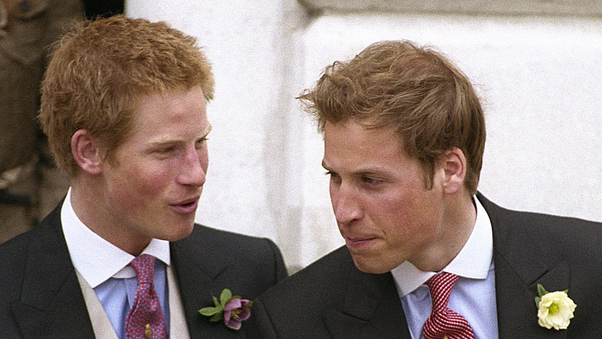 Royal author reveals William and Harry's nicknames for Camilla after Diana's death