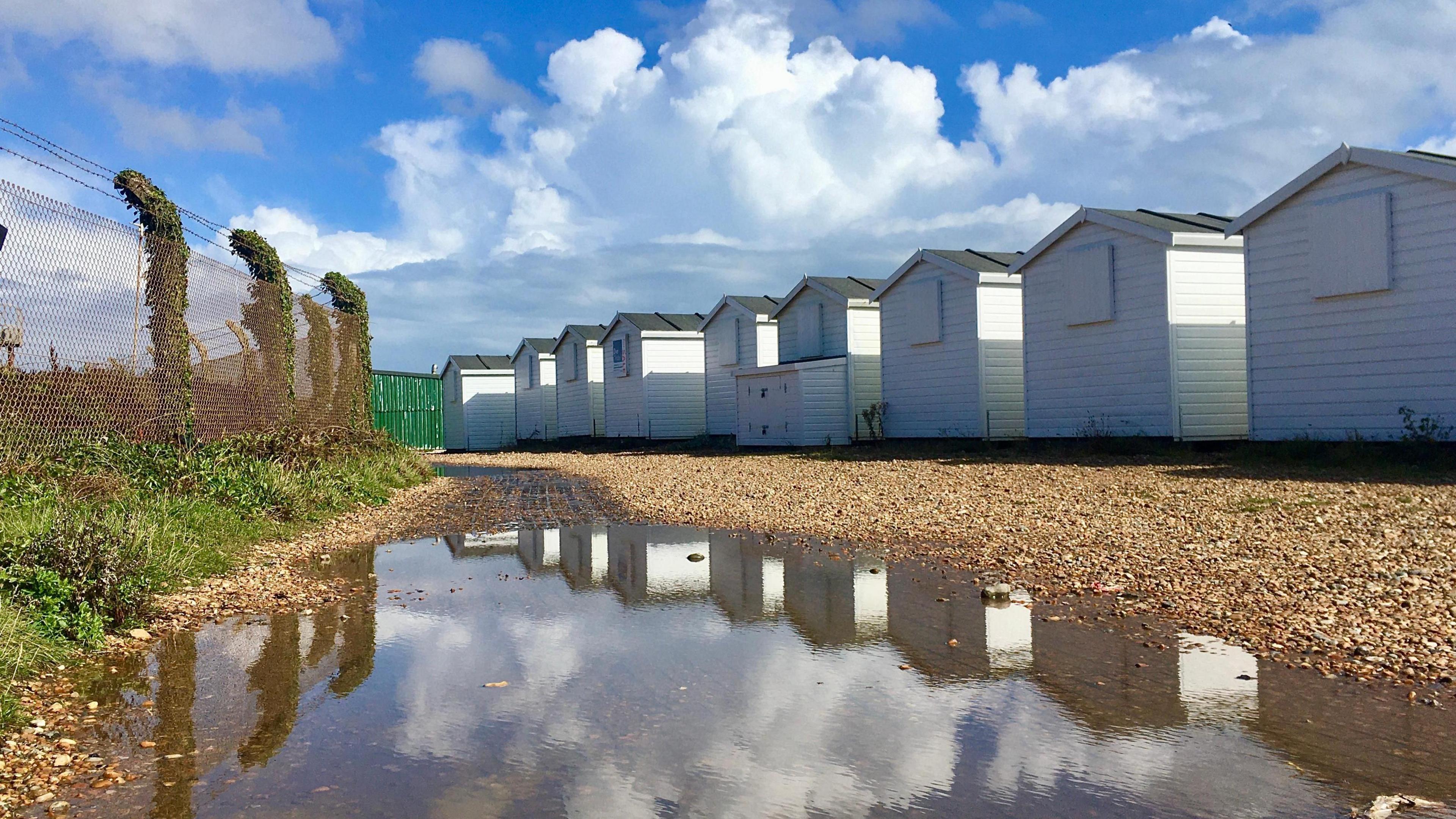 Roadside trees bending in strong wind