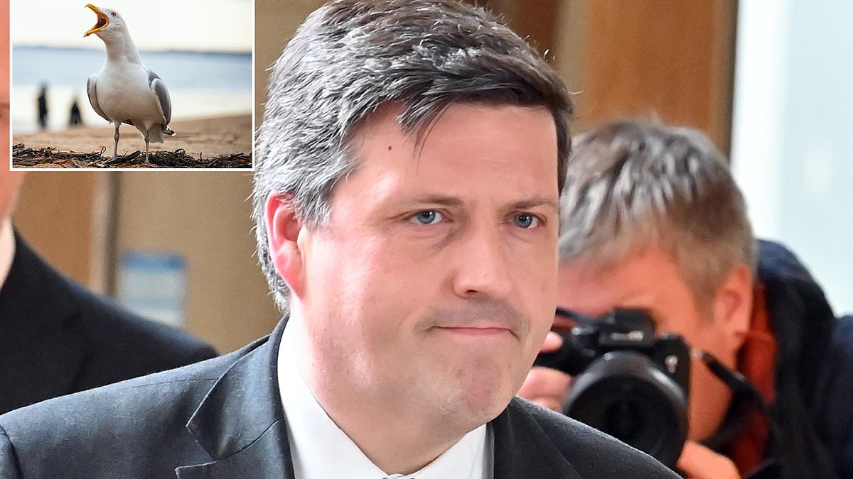 Seagull spat underscores Holyrood scrutiny as scandals mount