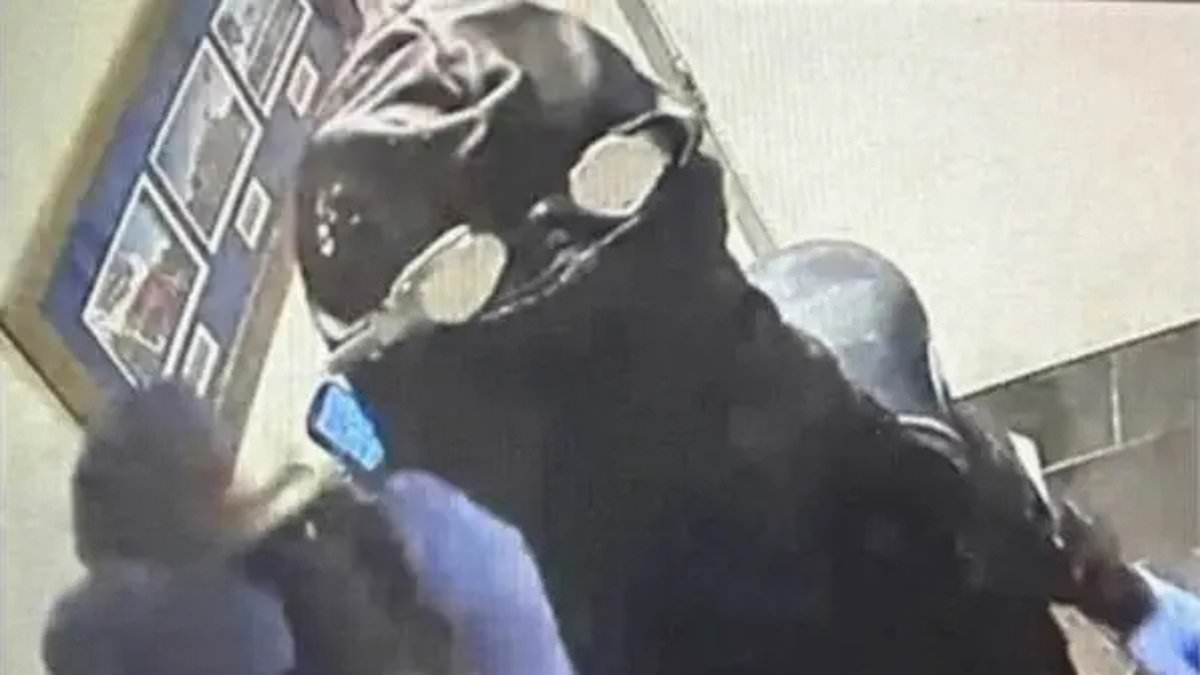Frogman thief swam to Paddlefish at Disney Springs, stole $20,000 before fleeing