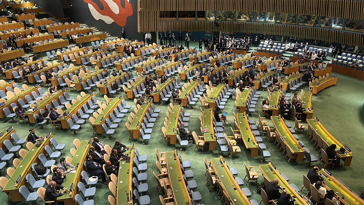UN General Assembly seats
