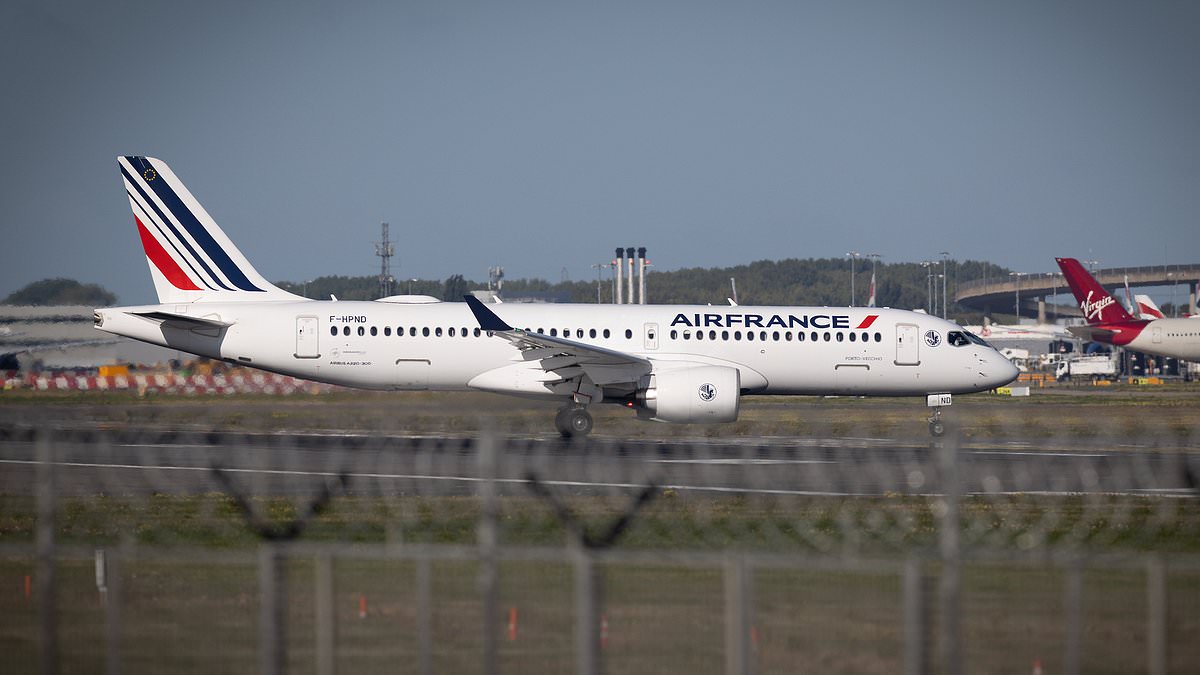 Two Home Office flights leave Heathrow without migrants after High Court blocks first removals