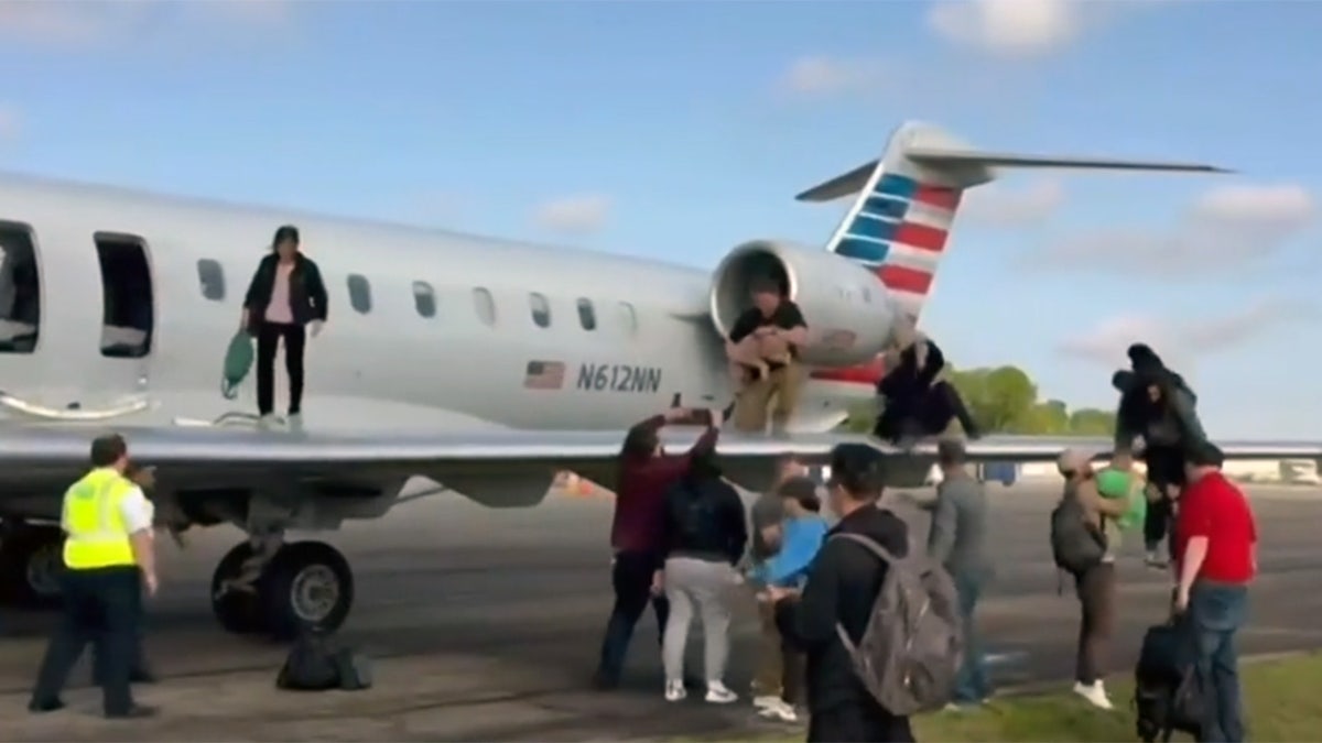 Hawaiian diversions image