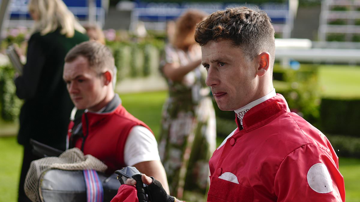 Horse dies and jockey hospitalised after fall at Ascot