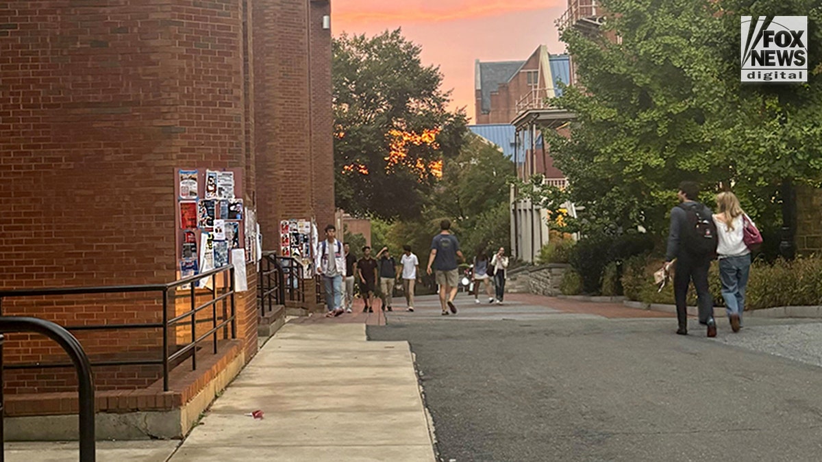 Georgetown University campus safety removal of flyers