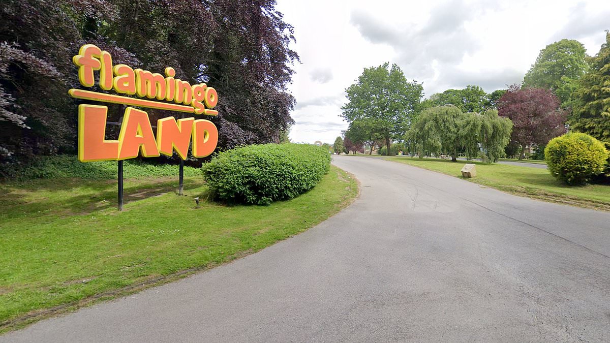Man stabbed at Flamingo Land Resort; four arrested