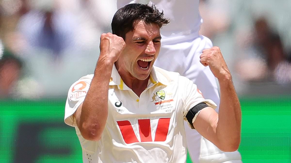 Australia seals Ashes series with 82-run win in Adelaide as Lyon injury clouds celebration