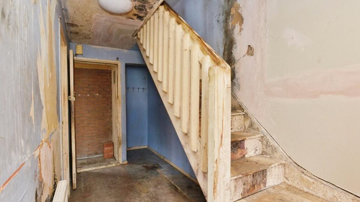 Mould-riddled Milton Keynes terrace listed at £210,000 draws social media uproar
