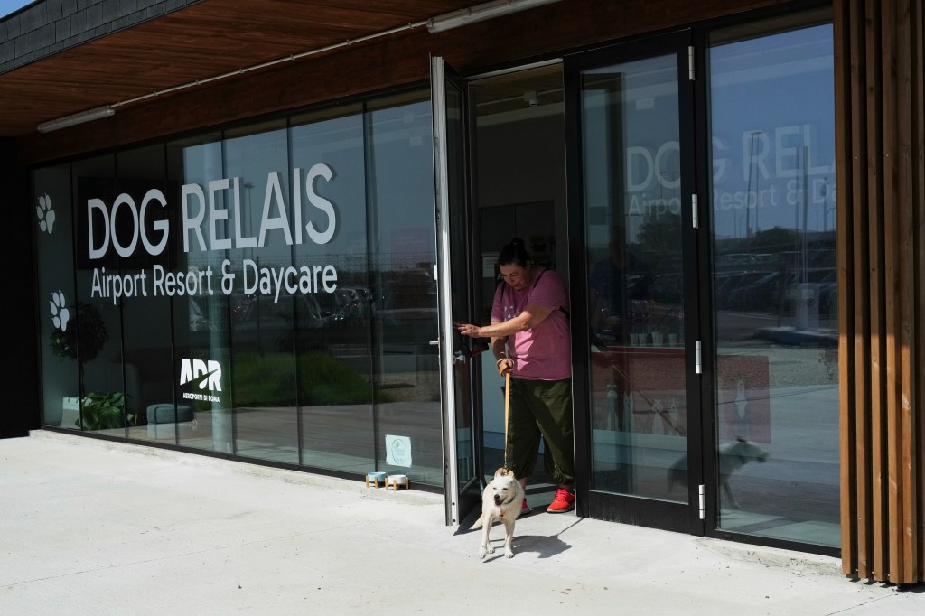 Rome’s airport opens luxury dog hotel with pampering services