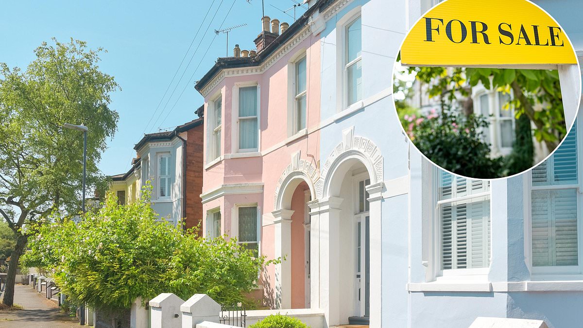 Property market rebounds after Budget gloom, Boxing Day surge expected